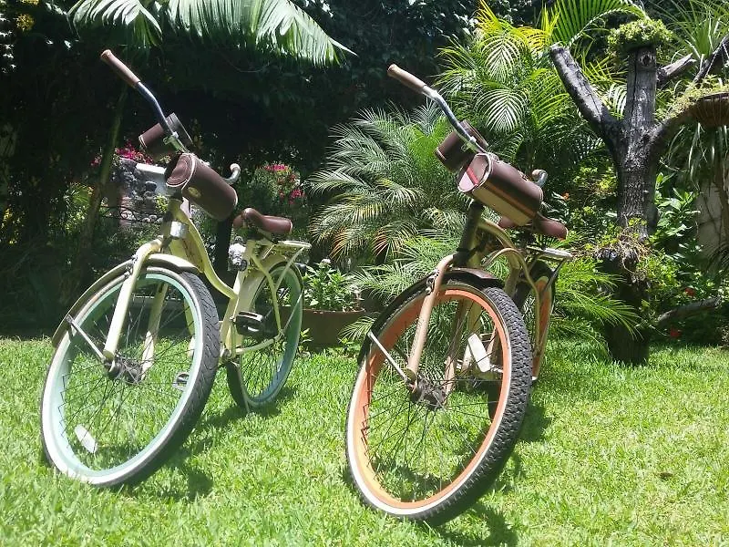 Vilaflor Hotel Antigua Bed & Breakfast